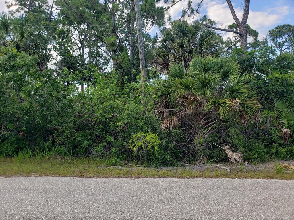 Photo of 18106 Sicily Avenue, Port Charlotte, FL 33948 (MLS # O6212559)