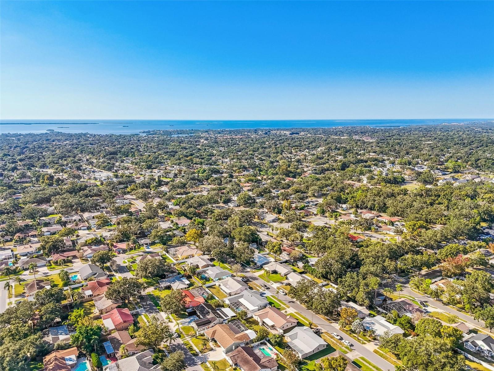 PATTY ANN ACRES - Residential