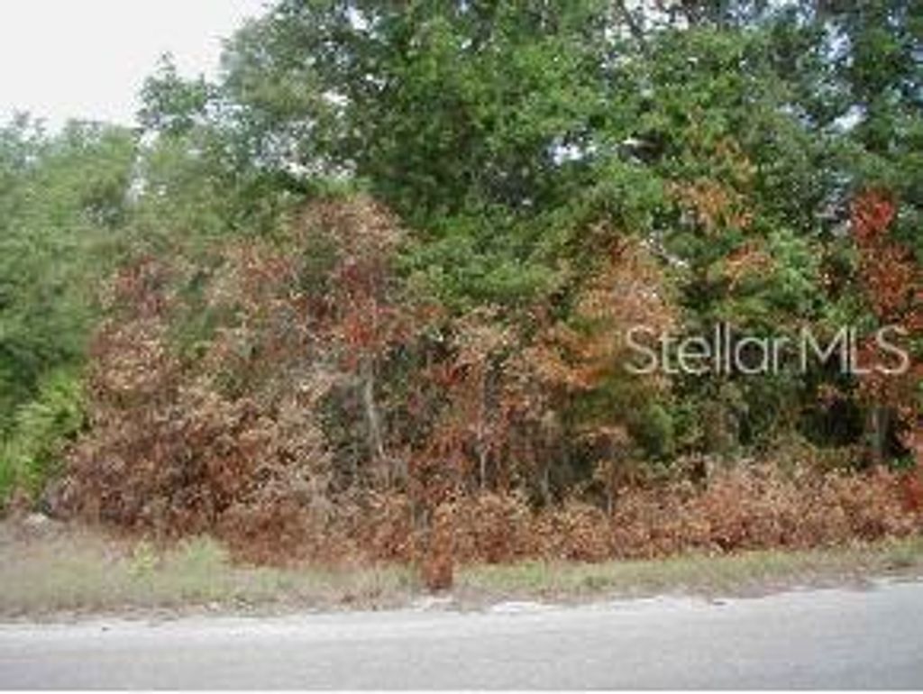 Photo of 0 Malauka Loop, Ocklawaha, FL 32179 (MLS # OM663129)
