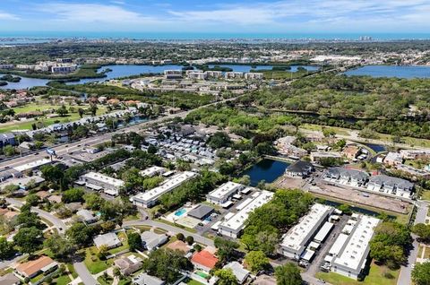 A home in SEMINOLE