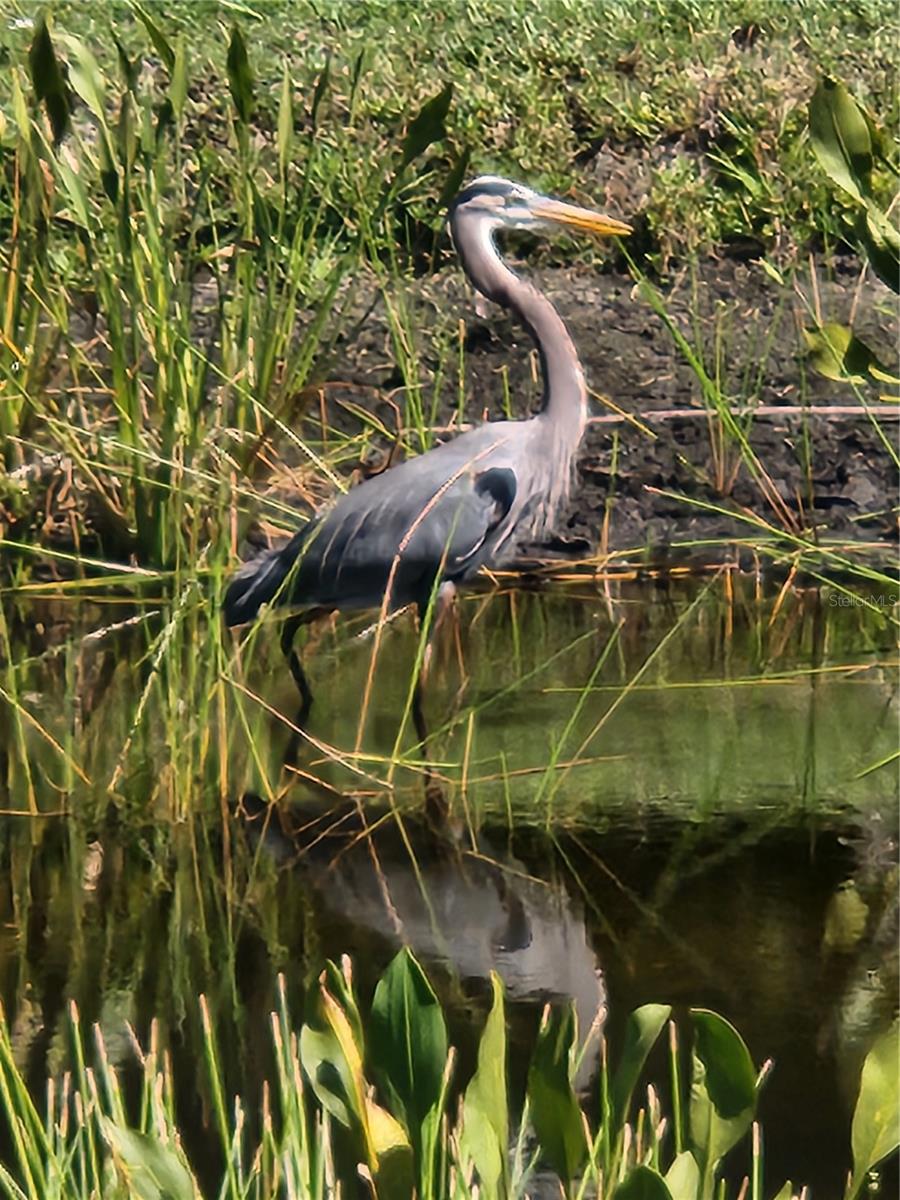 HERITAGE LAKE PARK - Residential