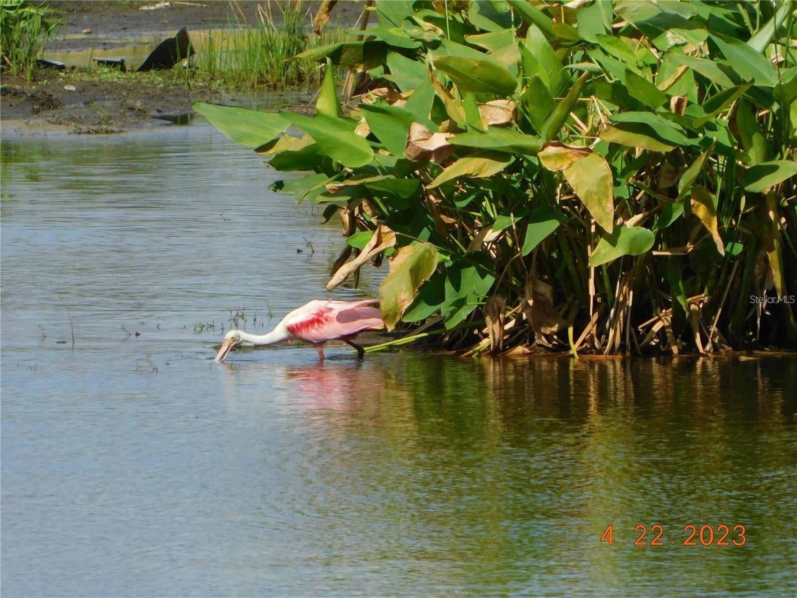 HERITAGE LAKE PARK - Residential