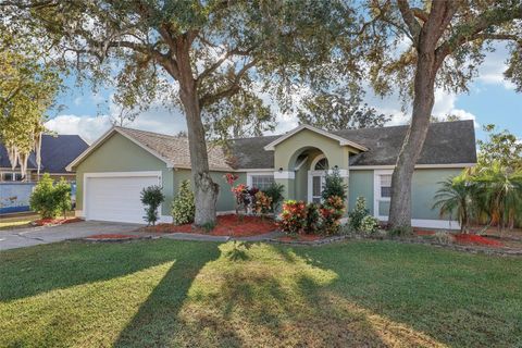 A home in ORLANDO