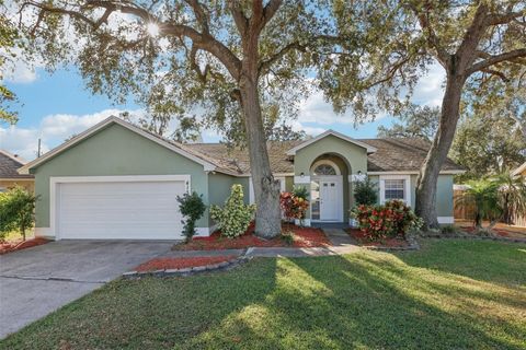 A home in ORLANDO