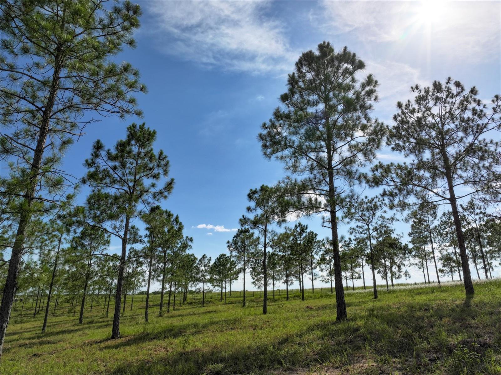 4501 DETOUR ROAD