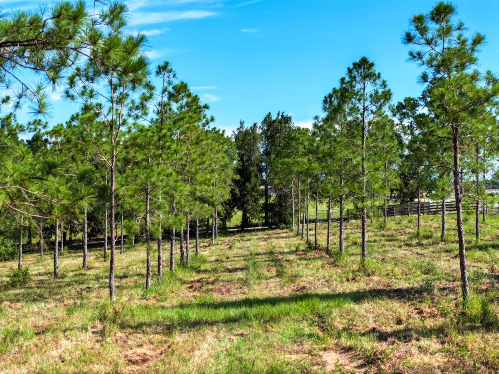 ACREAGE - Residential