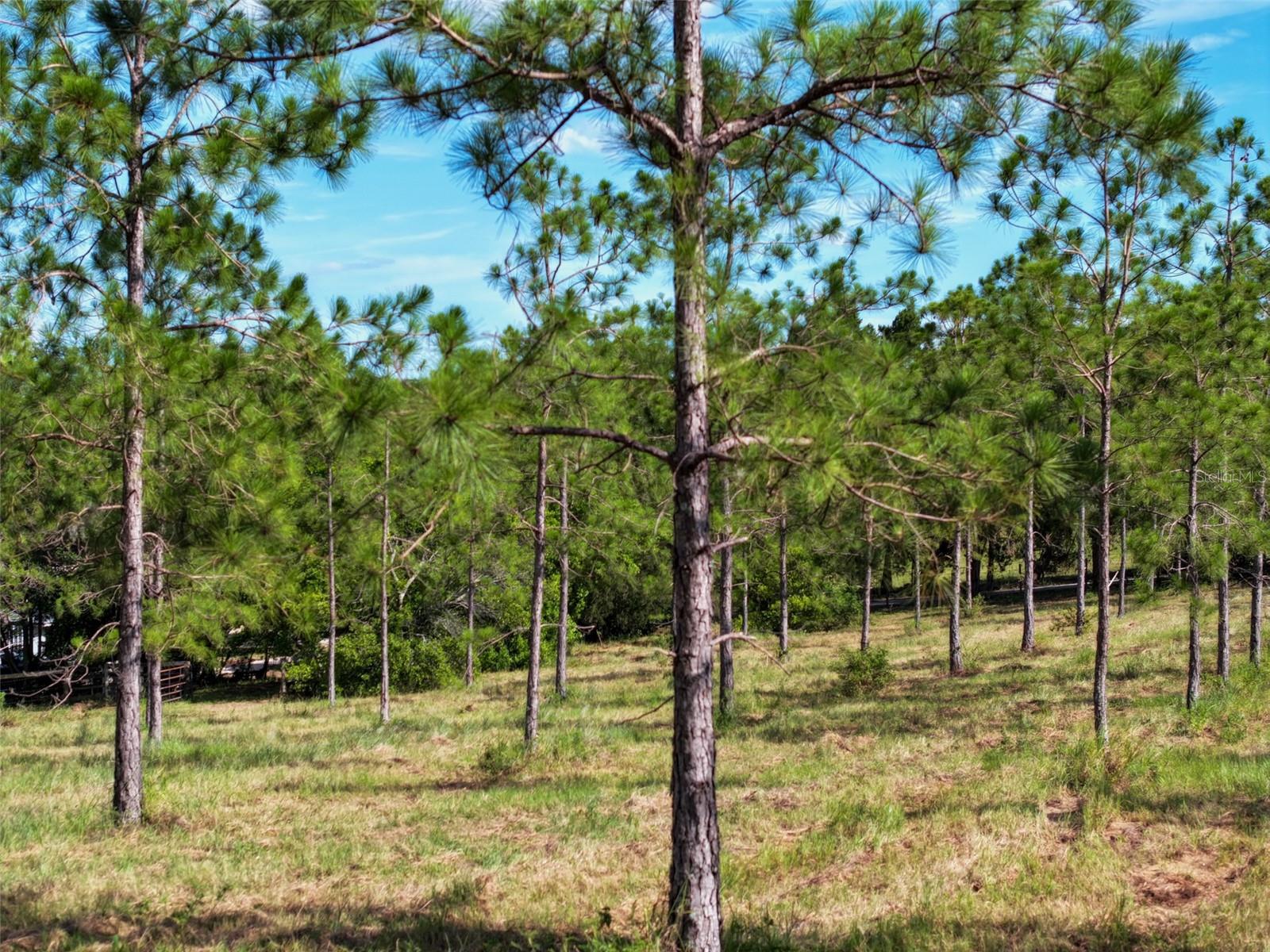 ACREAGE - Residential