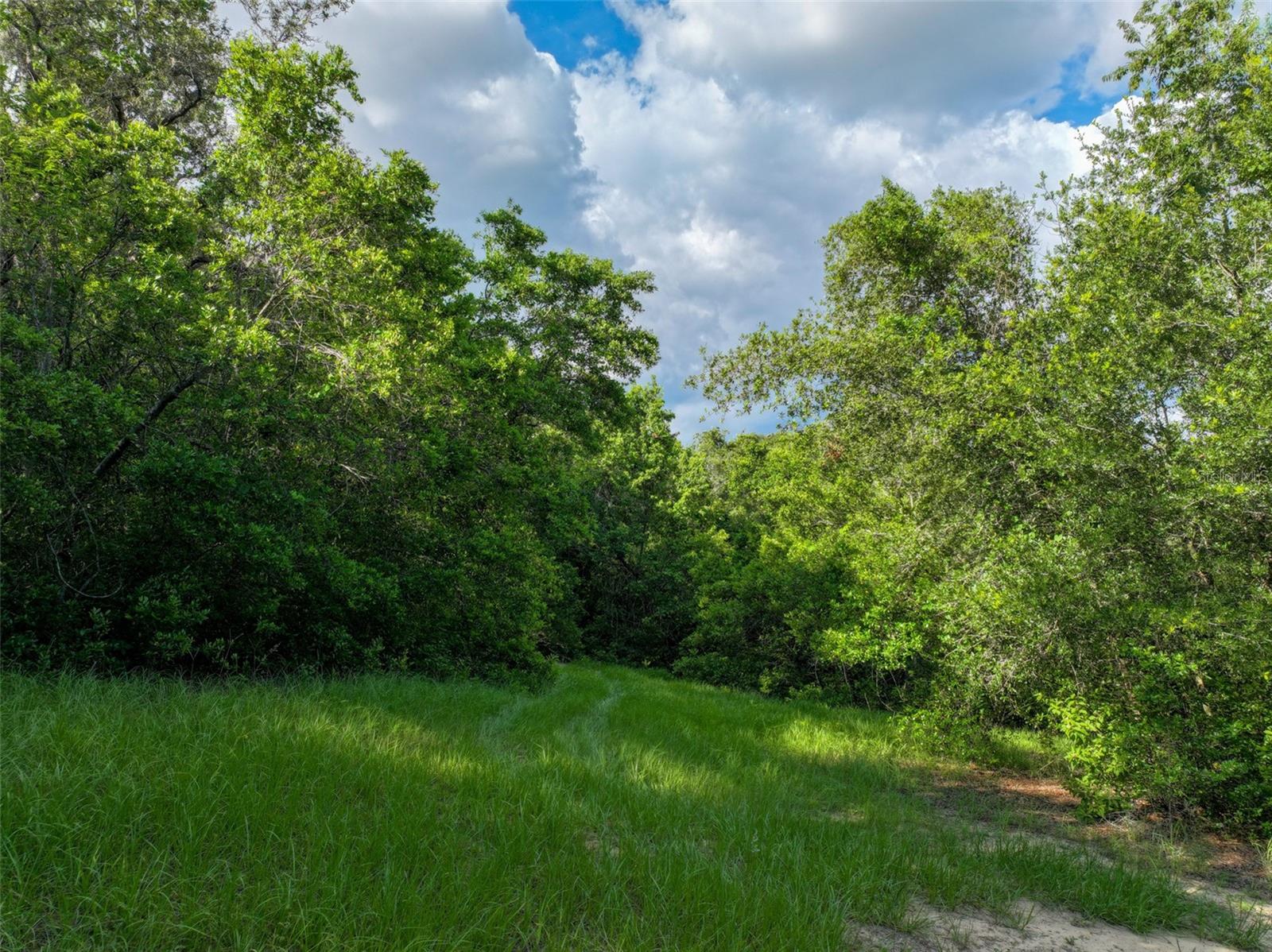 ACREAGE - Residential