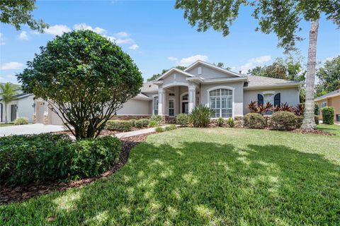 A home in LITHIA