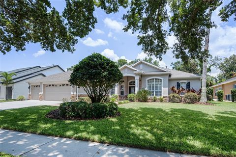 A home in LITHIA