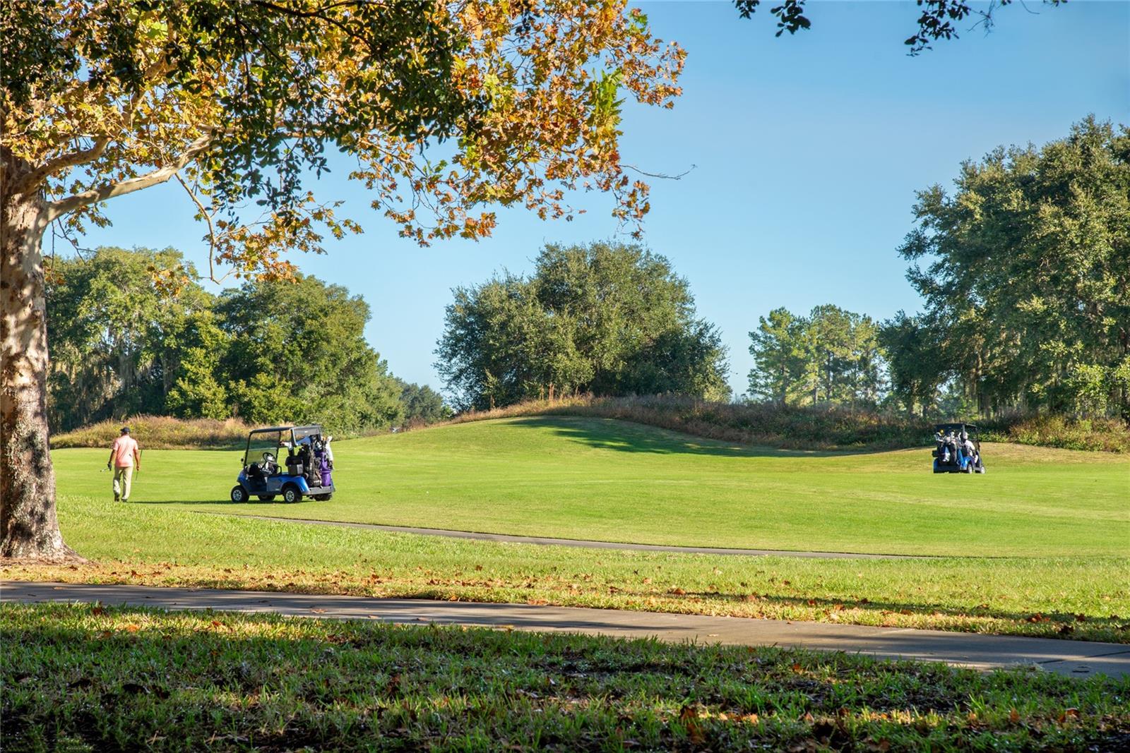 ASHLEY PARK AT HARMONY CONDO - Residential