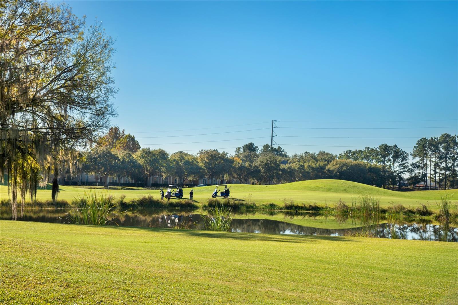 ASHLEY PARK AT HARMONY CONDO - Residential