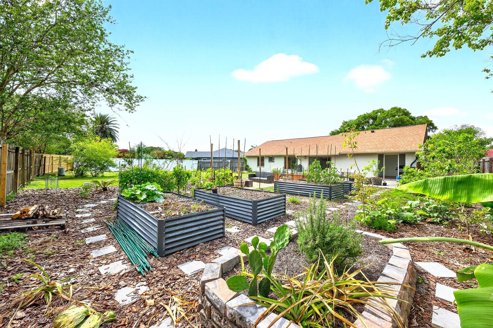 CAPE ORLANDO ESTATES - Residential