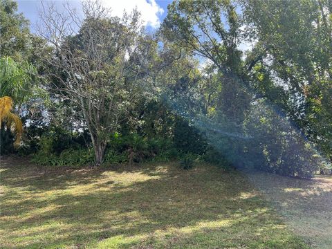 A home in DELTONA