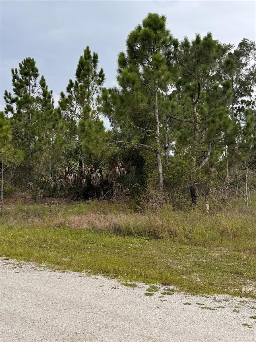 Photo of 13279 Carousel Drive, Punta Gorda, FL 33955 (MLS # D6148303)