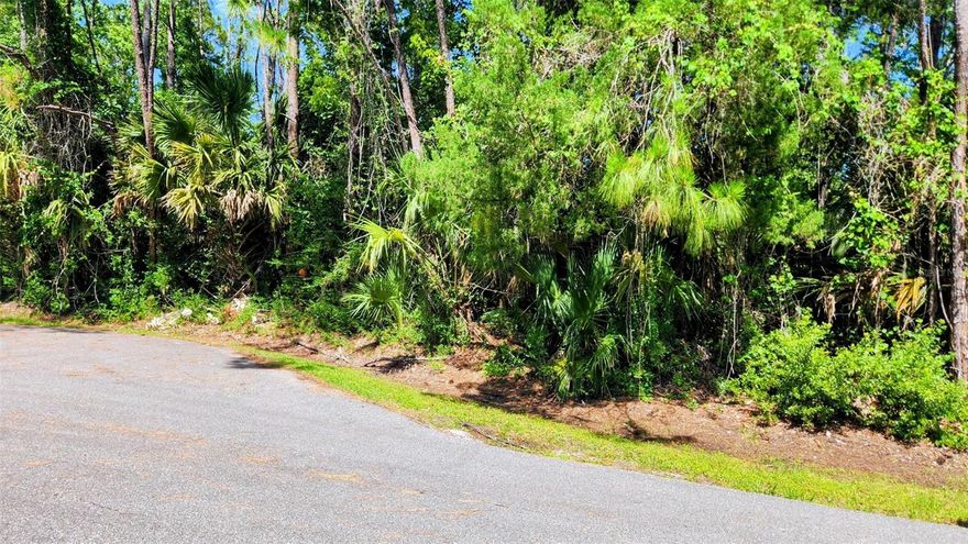 Build your dream home on this beautiful cul-de-sac lot located in the desirable Lehigh Woods community of Palm Coast! This vacant homesite offers a wonderful combination of privacy, convenience, and Florida living. Surrounded by newer homes with no HOA fees, this property is ideal for a primary residence, second home, or investment build. 
Enjoy the peaceful setting while still being just minutes from shopping, restaurants, parks, schools, medical facilities, and the area’s beautiful beaches. Convenient access to US-1 and I-95 makes commuting to St. Augustine, Daytona Beach, and Jacksonville a breeze. Whether you’re a builder, investor, or future homeowner, this well-positioned lot offers endless potential to create your own slice of paradise in Palm Coast!