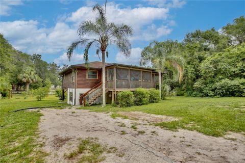 Photo of 425 Mercers Fernery Road, Deland, FL 32720 (MLS # O6325575)