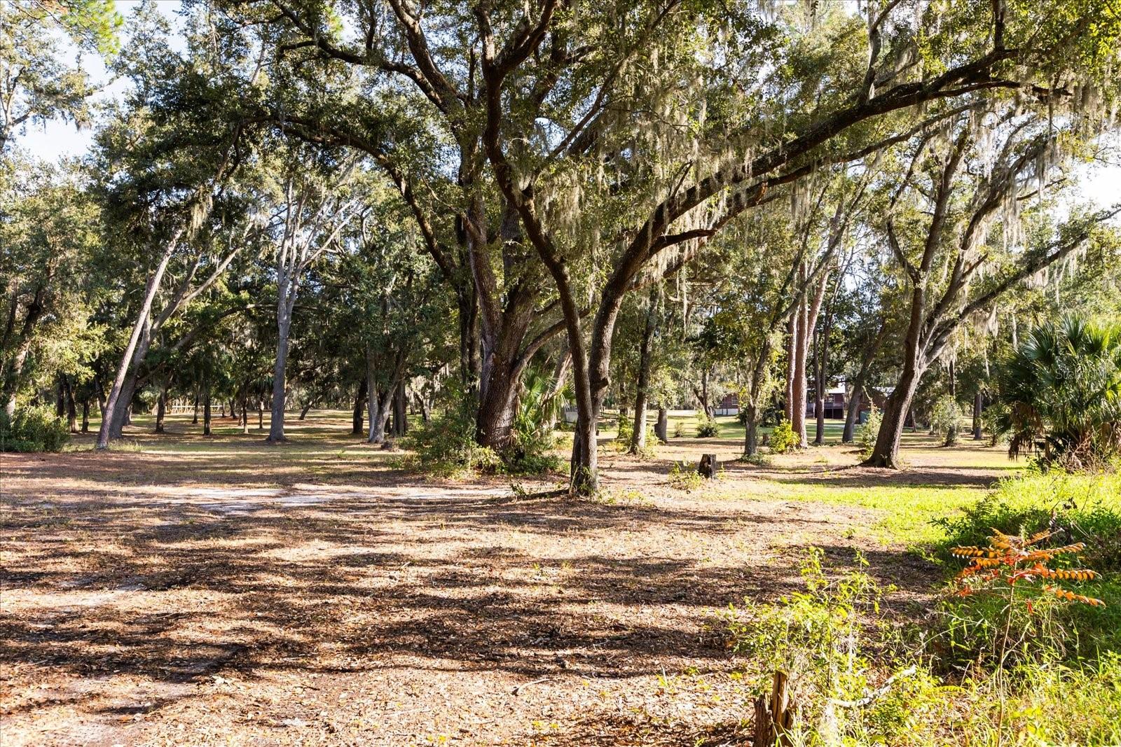 ACREAGE & UNREC - Residential