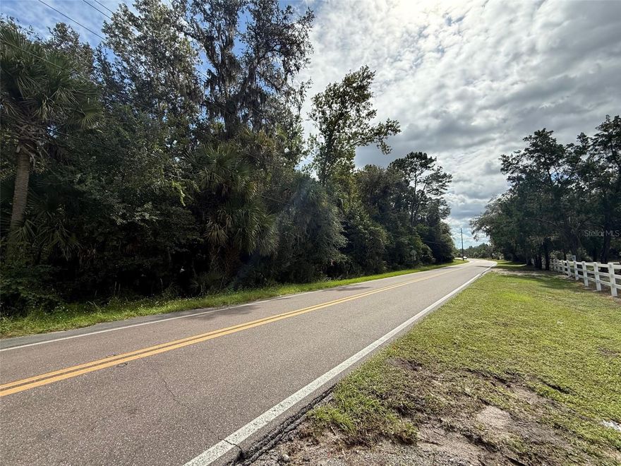 4.5 PRIVATE ACRES OF BEAUTIFUL NATURAL FLORIDA. LOTS OF TREES AND WILDLIFE WITH 225' OF DIRECT FRONTAGE ON SOUGHT AFTER SOUTH GLENCOE ROAD. BUILD YOUR DREAM HOME OR USE AS A QUIET PLACE IN THE COUNRTY TO RETREAT TO. VERY PRIVATE SETTING WITH NO HOA AND ROOM FOR ALL YOUR TOYS. FAMILY FRIENDLY AREA CLOSE TO SHOPPING, DINING, SCHOOLS, RIVER, AND BEACH. LOCATED IN LOW-RISK FLOOD ZONE X. HORSES OK! ONLY 45 MINUTES TO ORLANDO. POSSIBLE OWNER FINANCING. ALL INFORMATION THOUGHT TO BE CORRECT BUT NOT GUARANTEED.