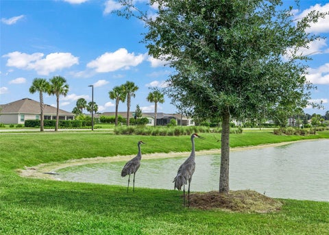 Tiny photo for 1864 Keel Court, The Villages, FL 34762 (MLS # G5118488)