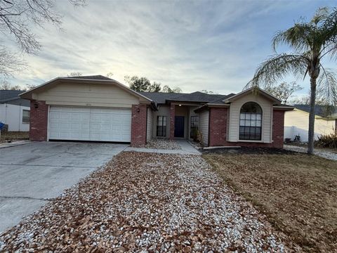 Photo of 12111 Wildbrook Drive, Riverview, FL 33569 (MLS # O6384469)