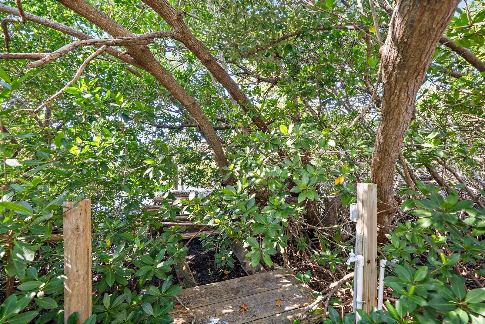 LONGBEACH ON LONGBOAT KEY - Land