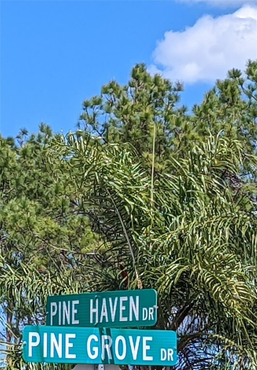 81 PINE HAVEN DR