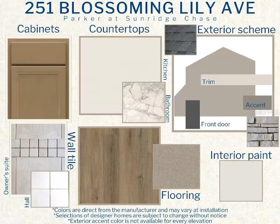 Photo of 251 Blossoming Lily Avenue, Ruskin, FL 33570 (MLS # L4965076)