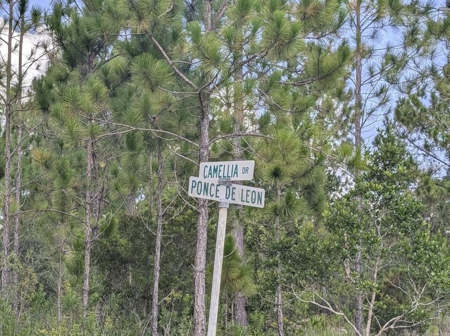 Come build your forever home on this one-half acre corner lot that located in the lake community of Indian Lake Estates, a golfing, fishing and boating community in the center of Florida. You can be out on Lake Walk in Water fishing in just minutes! Indian Lake Estates is about 20 miles east of Lake Wales. The community surrounds the 7,500 acre lake locally known as Lake Walk In Water, nationally known for its fishing and considered to be one of the best bass fishing lakes in all Florida. The lake has a beach, boat ramp, boat marina and the longest freshwater Fishing pier in the State of Florida. The pavilion is located at the front of the pier and is complete with propane grills and covered picnic tables. The community amenities include an 18-hole golf course, basketball and tennis courts, 23, 000 sq.ft. clubhouse, cafe, post office, churches, library, fitness room and pro shop. If you love nature and the peace and quiet of the country you're in luck. Wildlife is plentiful! You will see deer, raccoon, turkey, turtles, cranes and various species of birds that call Indian Lake Estates their home. Orlando and Disney is only about an hour's drive north and Tampa, Busch Gardens, and the Gulf's pristine beaches only a little over an hour west. Historic Bok Tower, a National Landmark, is in nearby Lake Wales. The Westgate River Ranch Resort and Rodeo is just six miles away. An authentic Florida dude ranch and full-service resort offering guests the opportunity to experience "Old Florida." Encompassing 1,700 beautiful acres, Westgate River Ranch features horseback riding, wildlife airboat and swamp buggy rides, Saturday night championship rodeo, trap/skeet range, nature hikes, petting farm, marina, Adventure Park with zip line and rock climbing wall, Westgate Smokehouse Grill and River Ranch Saloon and much more. Cowboy-themed accommodations range from ranch-themed lodge guestrooms and deluxe lodge suites to spacious cottages, two-bedroom cabins, Glamping and Luxe Teepees. Come out and see how great life can be at Indian Lake Estates! Polk County's best kept secret!