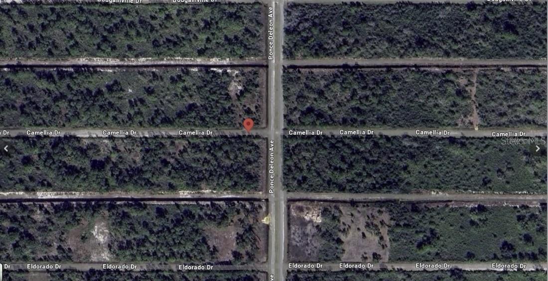 INDIAN LAKE ESTATES - Land