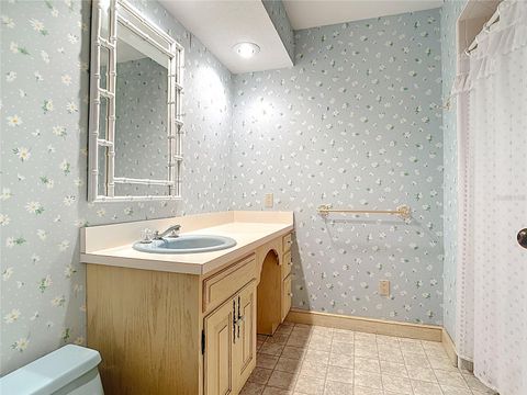 Tiny photo for 3939 Lake Erie Road, Groveland, FL 34736 (MLS # O6301849)