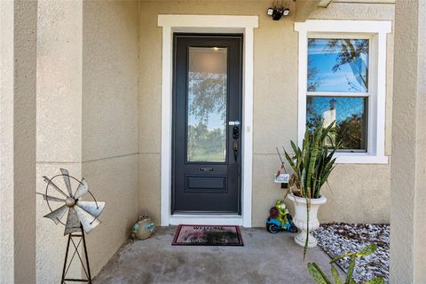 A home in APOLLO BEACH