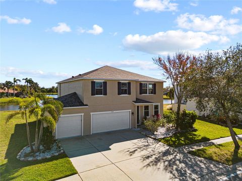 A home in APOLLO BEACH