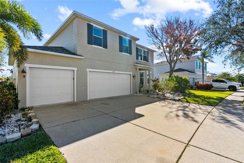 A home in APOLLO BEACH