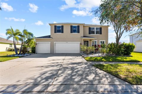 A home in APOLLO BEACH