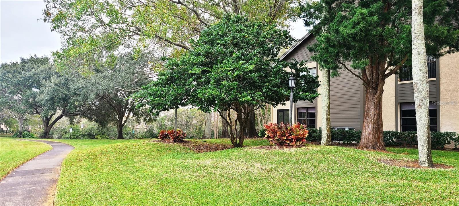 Peaceful 2BR/2BA Condo with Private Garage & Oversized Lanai – Countryside
Welcome to your quiet retreat in the heart of Countryside. This move-in ready, second-floor condo offers peaceful living in a serene community, complete with a rare private one-car garage and a screened lanai stretching the full length of the home—perfect for enjoying evening breezes and Florida sunsets.
Inside, you’ll find a bright, open layout with vaulted ceilings, fresh neutral paint, and laminate flooring throughout. The spacious family room features a cozy stone wood-burning fireplace and a stylish wet bar, creating a warm and inviting atmosphere. A wall of glass doors fills the space with natural light and opens to the tranquil lanai.
The chef’s kitchen offers Cinnamon Spiced cabinetry, granite countertops, a full appliance package, and a charming breakfast nook surrounded by sunlight.
The private master suite is tucked away at the back with an en-suite bath and walk-in closet, while the guest bedroom and bath are conveniently located near the front of the home. A laundry area is also included.
This well-cared-for community is known for its quiet surroundings and friendly neighbors, offering a sparkling pool and cabana, private tennis courts, beautifully landscaped grounds, and peaceful walking paths.
Nestled between two golf courses and close to everything—shopping, dining, parks, Mease Hospital, and just a short drive to Florida’s famous beaches—you’ll enjoy both tranquility at home and convenience nearby.
A peaceful condo in desirable Countryside, ready for you to move in and relax.