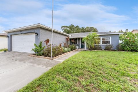 A home in PINELLAS PARK