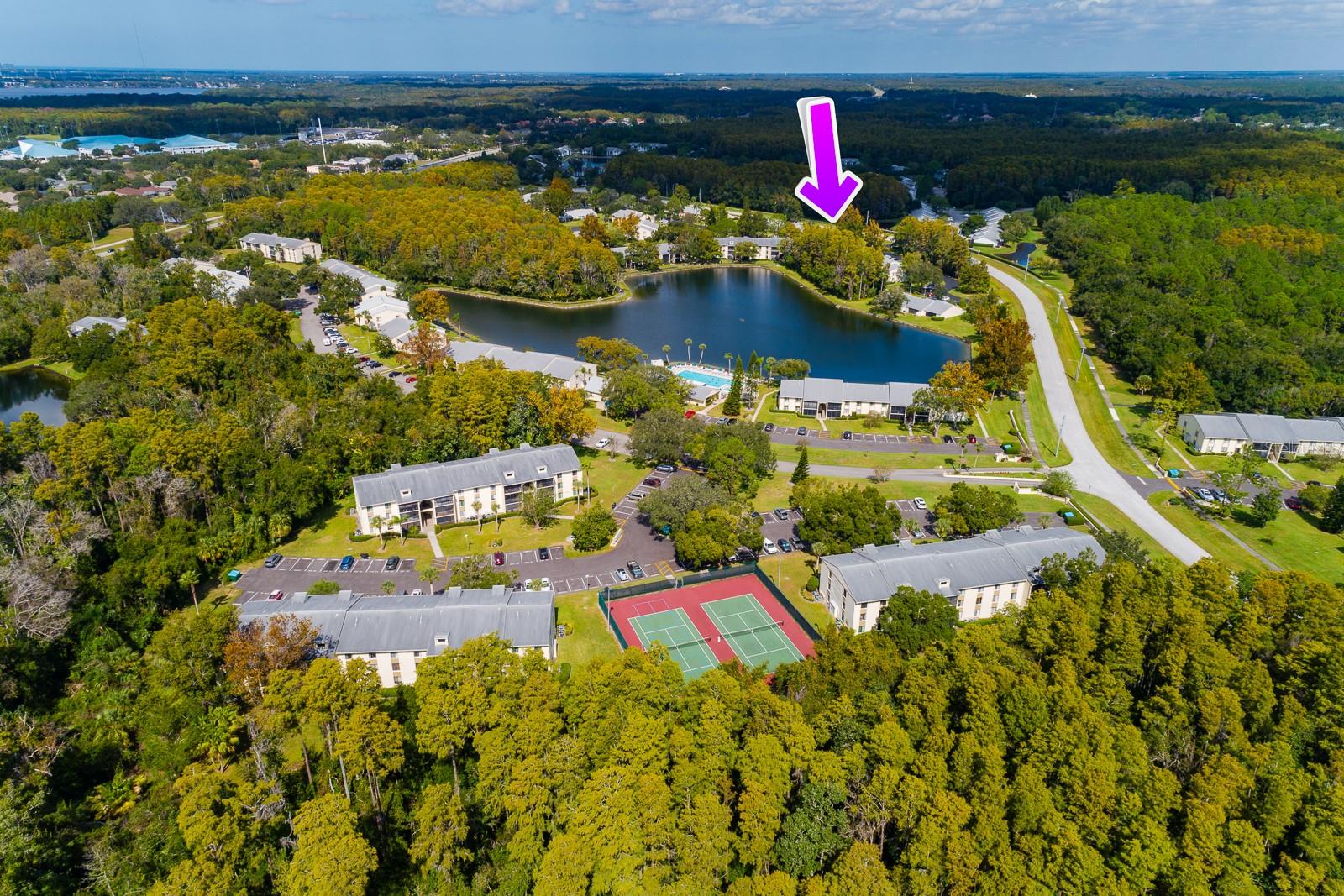 PINE RIDGE AT LAKE TARPON VILLAGE - Residential