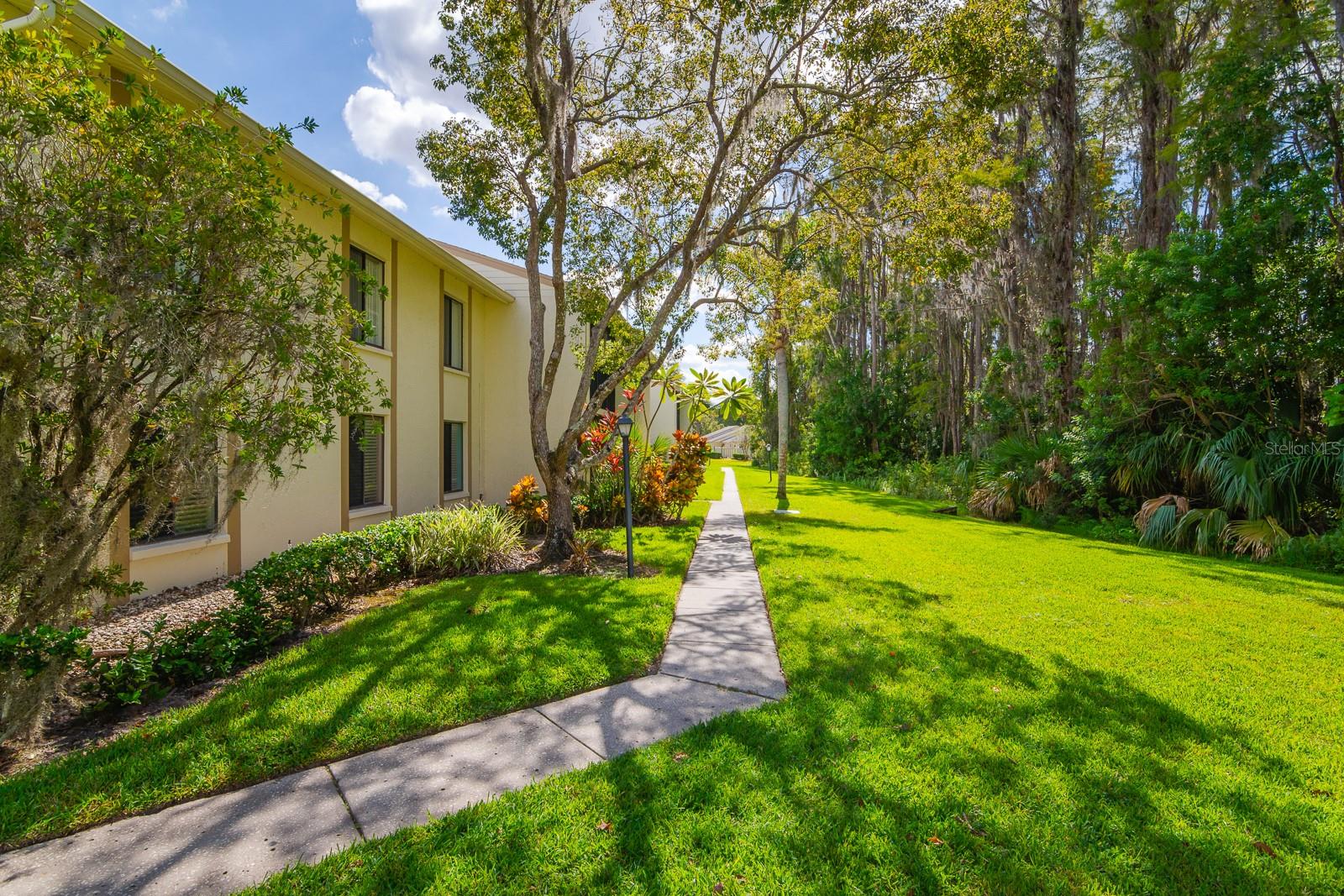 PINE RIDGE AT LAKE TARPON VILLAGE - Residential