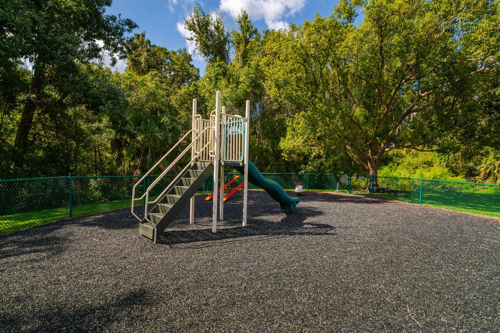 PINE RIDGE AT LAKE TARPON VILLAGE - Residential