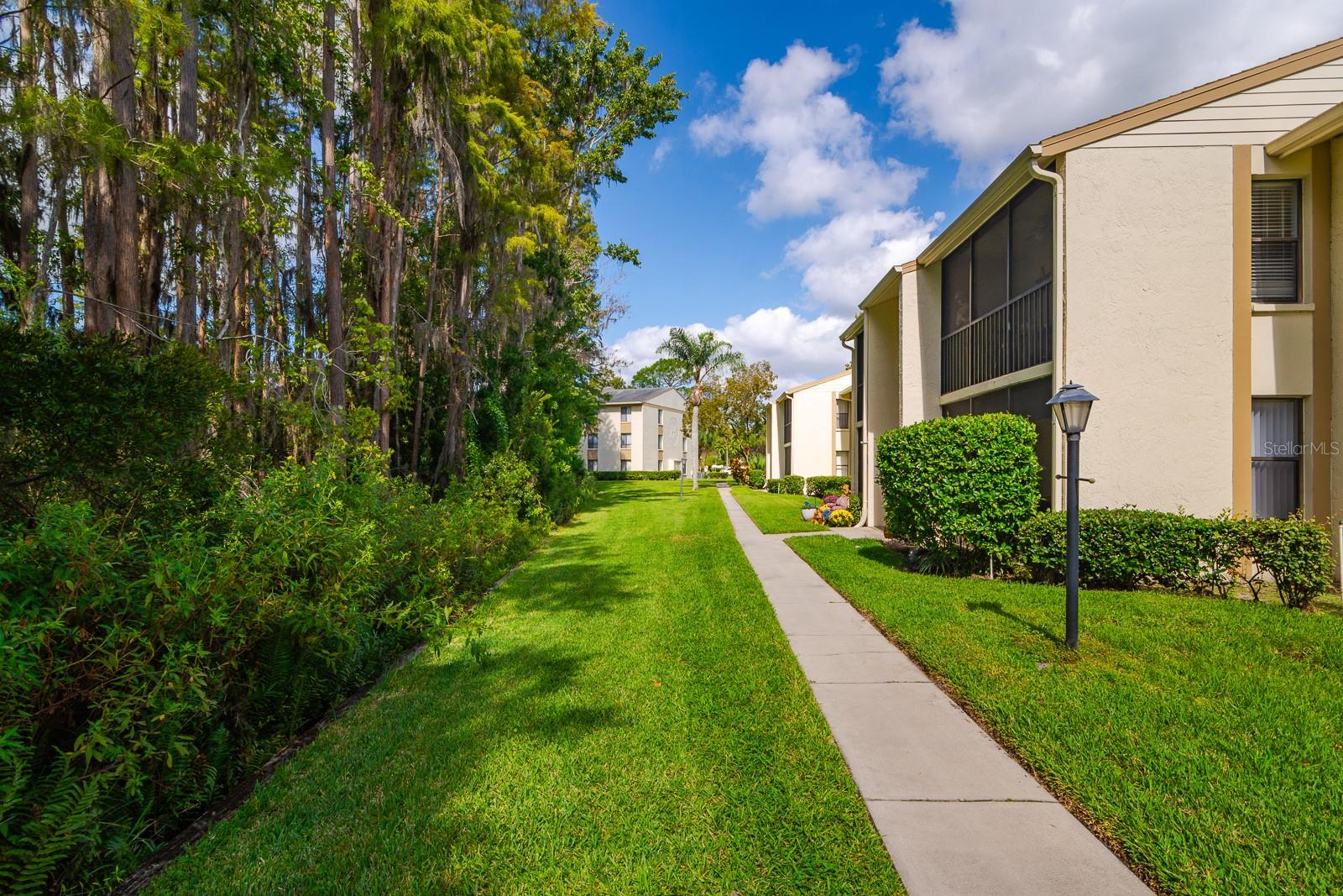 PINE RIDGE AT LAKE TARPON VILLAGE - Residential