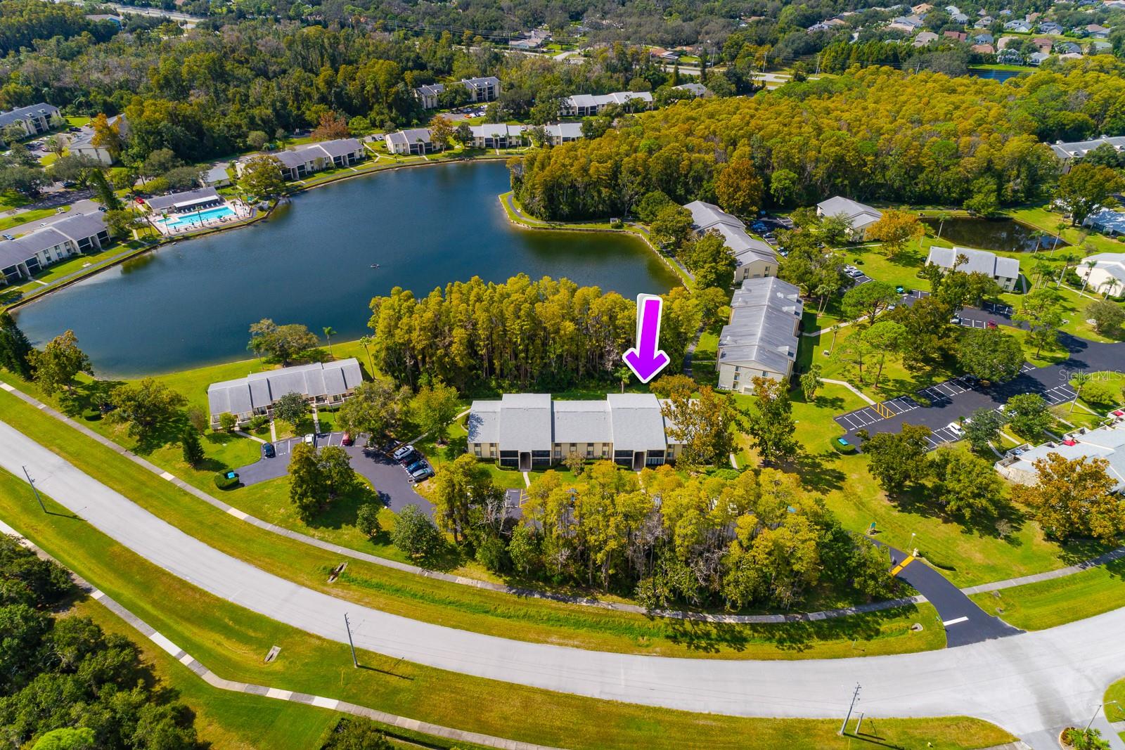 PINE RIDGE AT LAKE TARPON VILLAGE - Residential