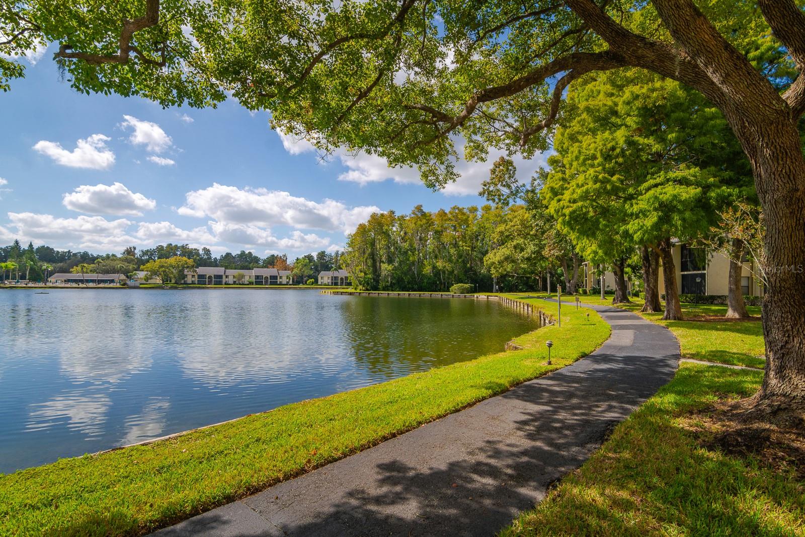 PINE RIDGE AT LAKE TARPON VILLAGE - Residential