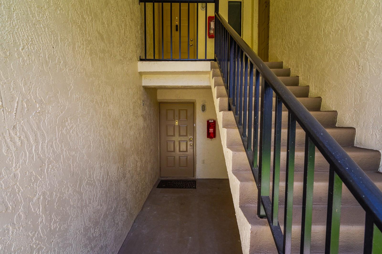 PINE RIDGE AT LAKE TARPON VILLAGE - Residential