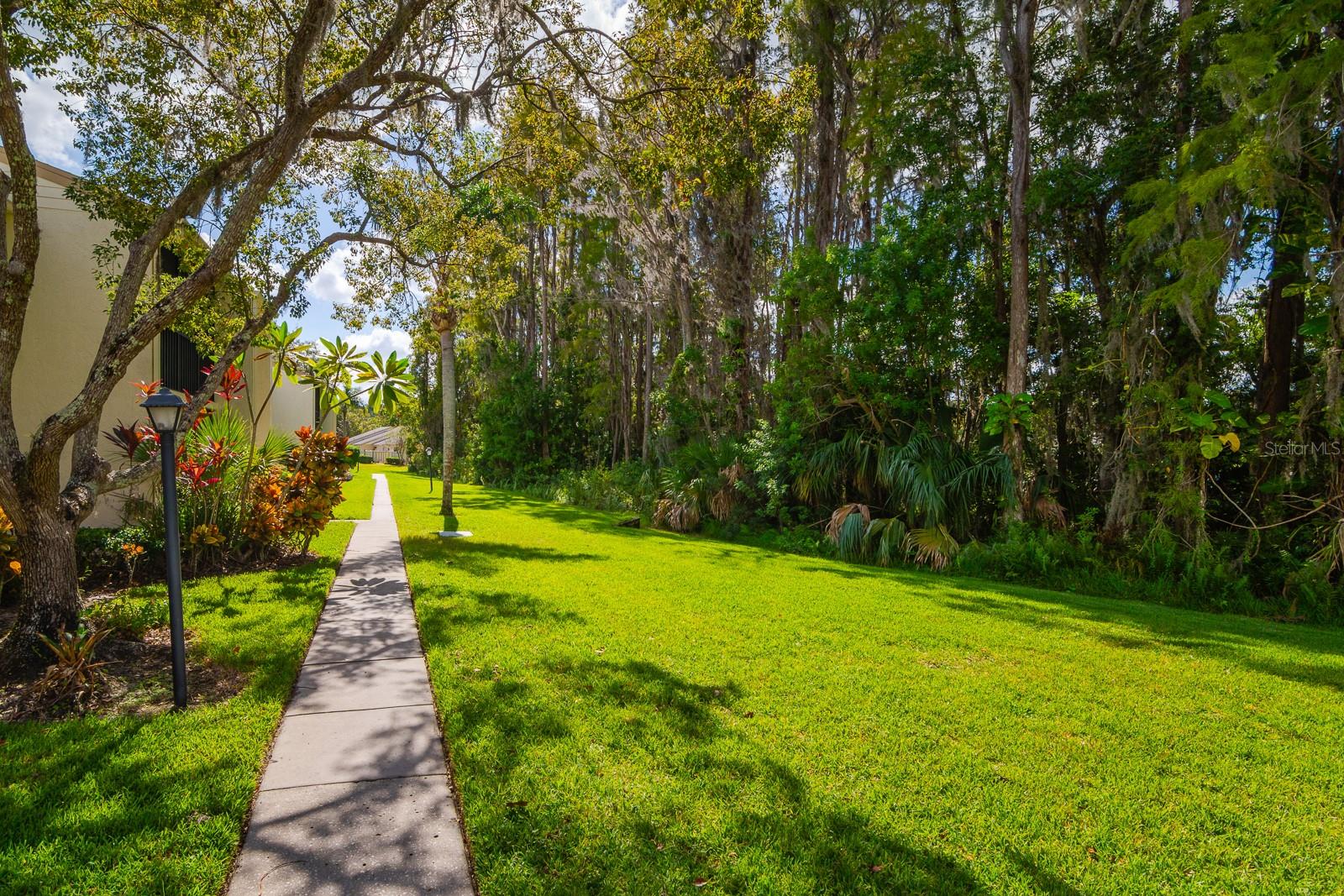 PINE RIDGE AT LAKE TARPON VILLAGE - Residential