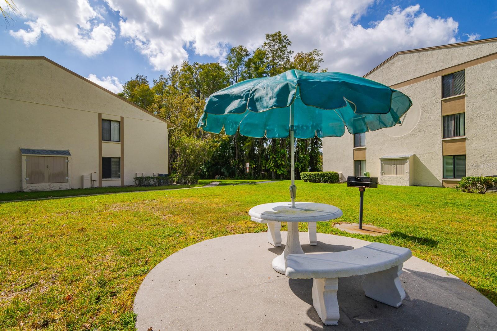 PINE RIDGE AT LAKE TARPON VILLAGE - Residential