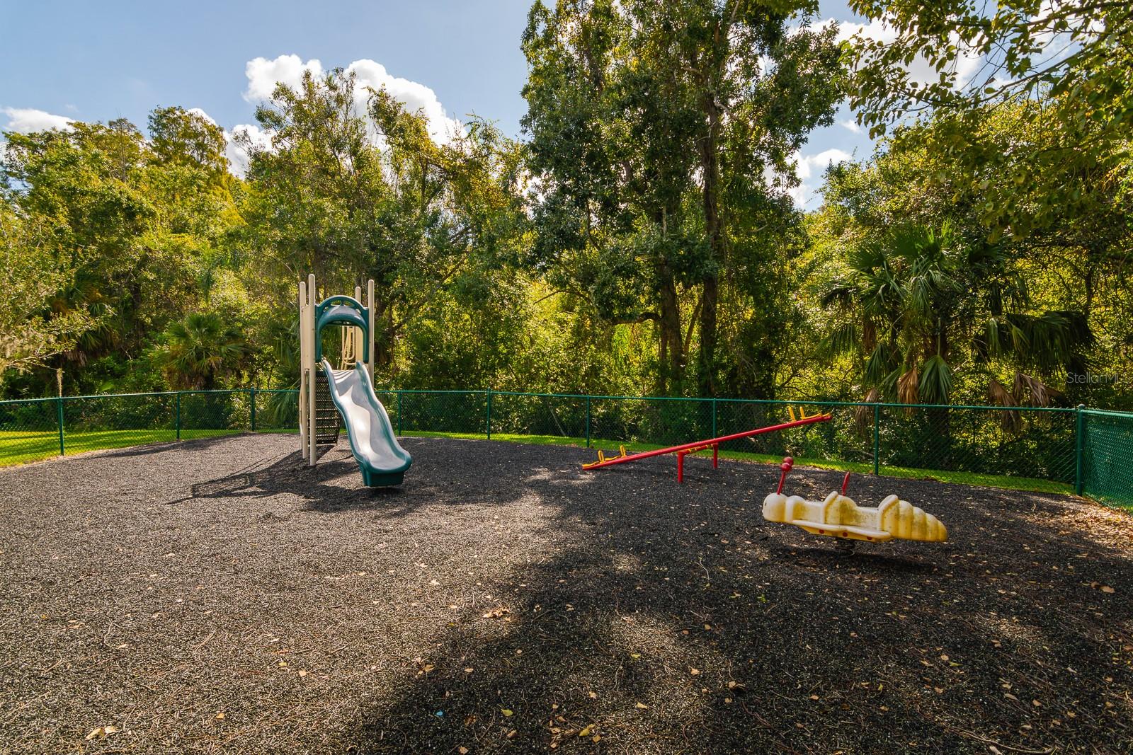 PINE RIDGE AT LAKE TARPON VILLAGE - Residential