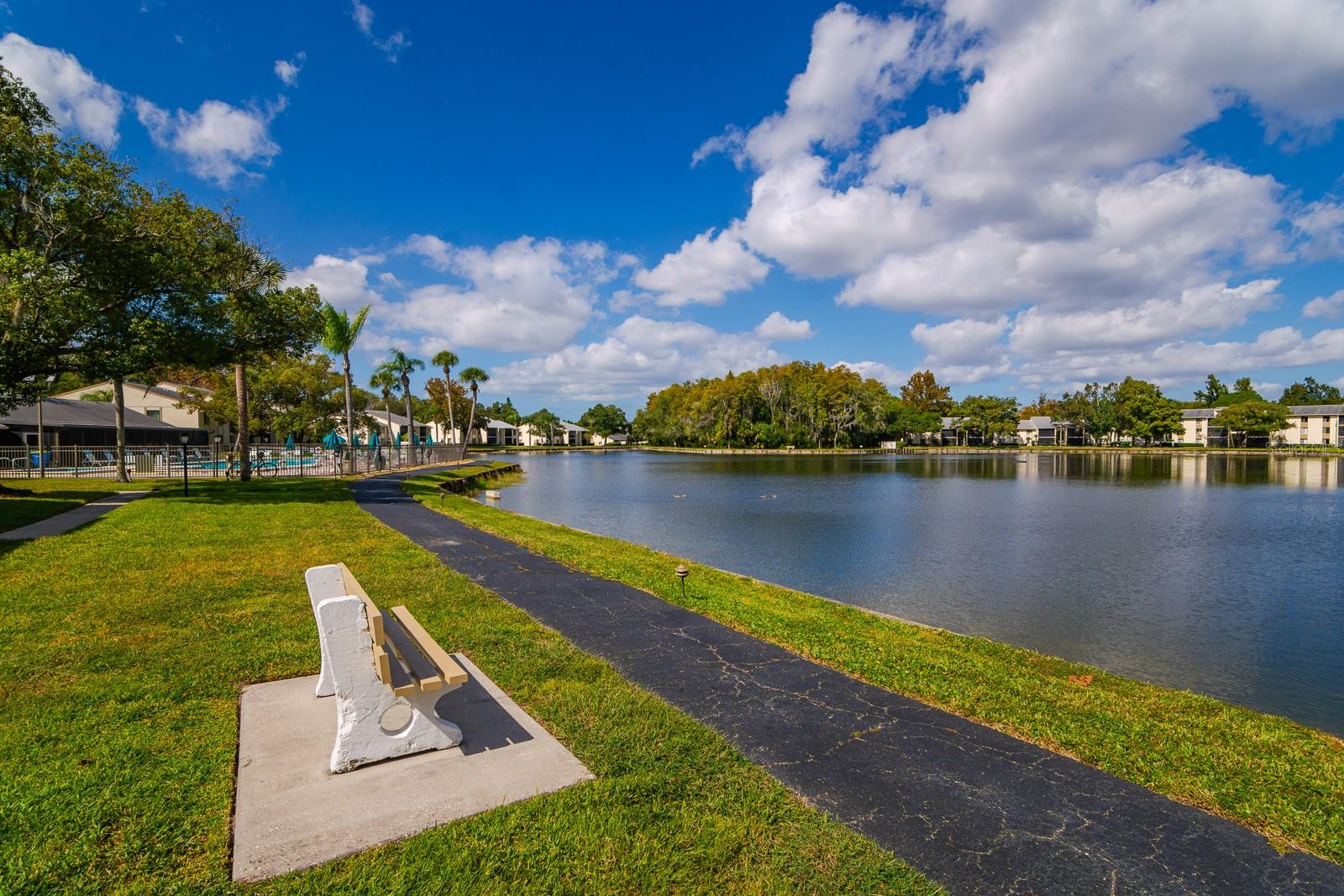 PINE RIDGE AT LAKE TARPON VILLAGE - Residential