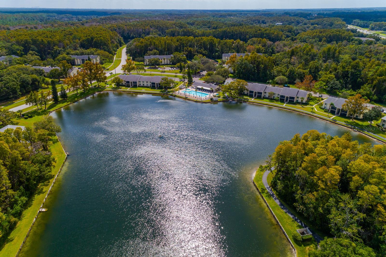 PINE RIDGE AT LAKE TARPON VILLAGE - Residential