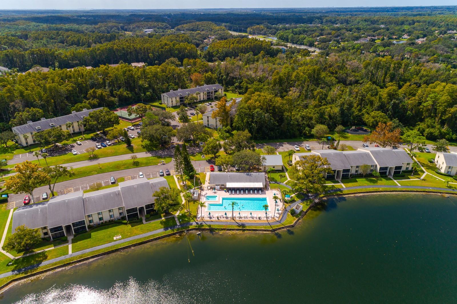 PINE RIDGE AT LAKE TARPON VILLAGE - Residential